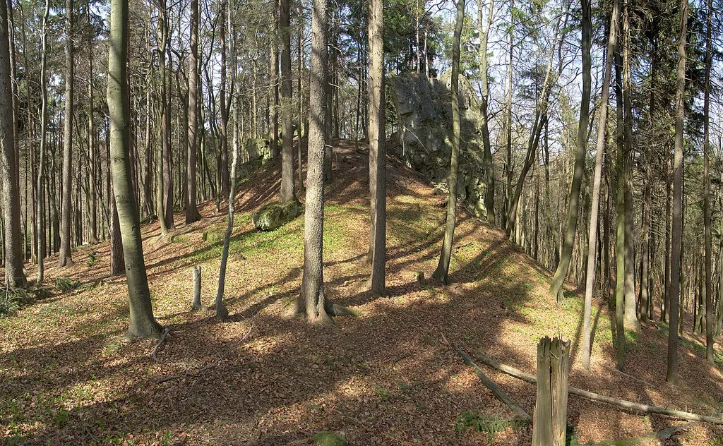 Burgstall Spitzenberg