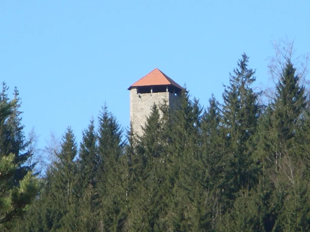 Keep of Altnußberg Castle.