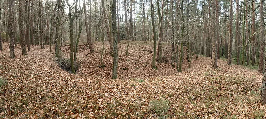Burgstall Wappersdorf - Gesamtansicht aus östlicher Richtung