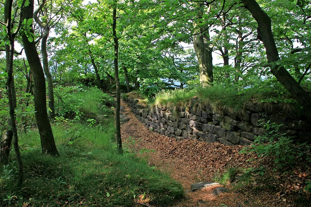 This image shows the ruins of the former Lilienstein Castle, a medieval castle on top of the Lilienstein (415 metres) in the Saxony Switzerland.