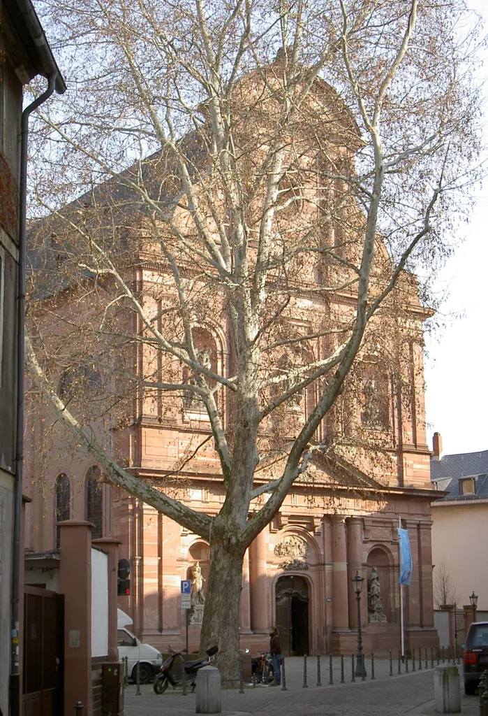 Kapuzinerstraße 40: Katholische Pfarrkirche St. Ignaz, Fassade in der Denkmalzone Kapuzinerstraße. Kreuzförmiger barocker Saalbau mit dreigeschossiger Schaufassade nach vorbarockem französischem Vorbild, 1763–75, Architekt Johann Peter Jäger, Skulpturenschmuck von Johann Jakob Junker (1772) und Nikolaus Binterim (1752)