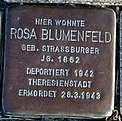 Stolperstein dedicated to Rosa geb.Straßburger Blumenfeld