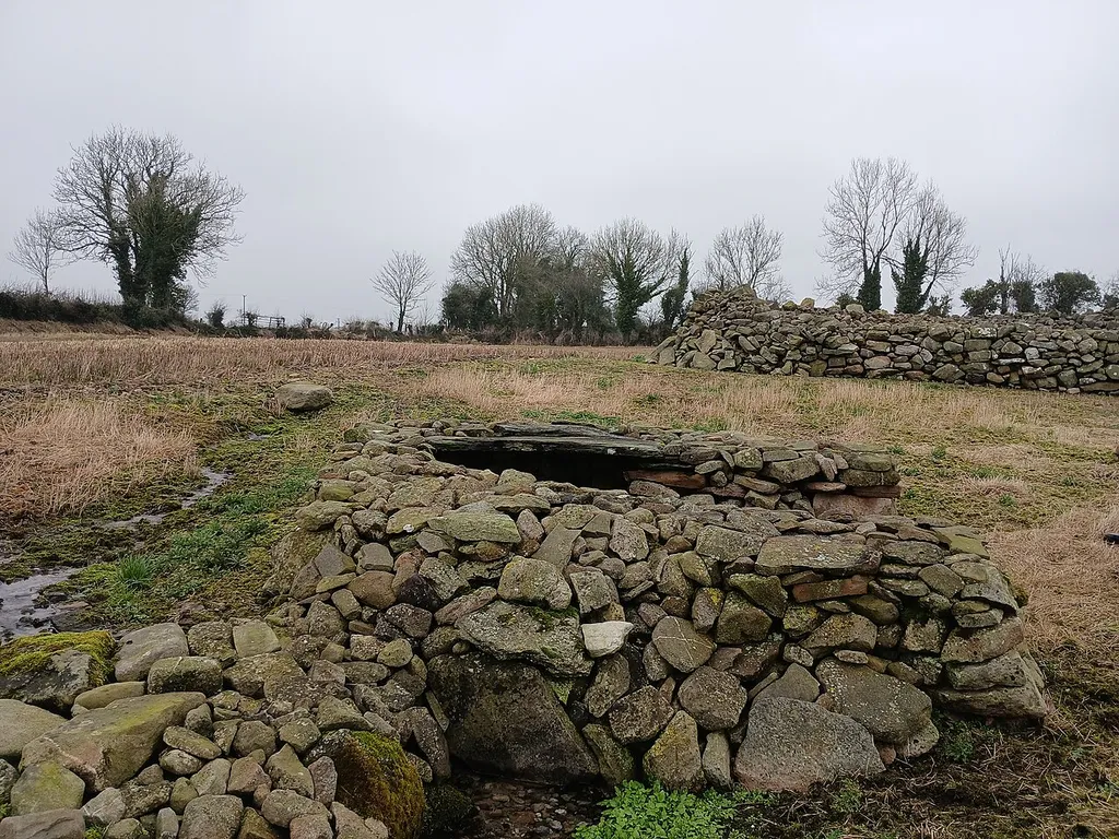 Church Well with Kiltrassy Church ruin in the background. The family looking after the well believes that the slab stones protecting the well might have come from the church ruin.