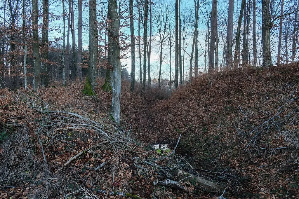 Earthworks Schloßberg of the lost castle Burg Schiggendorf near Meersburg-Schiggendorf, county Bodenseekreis, Baden Wurttemberg, Germany