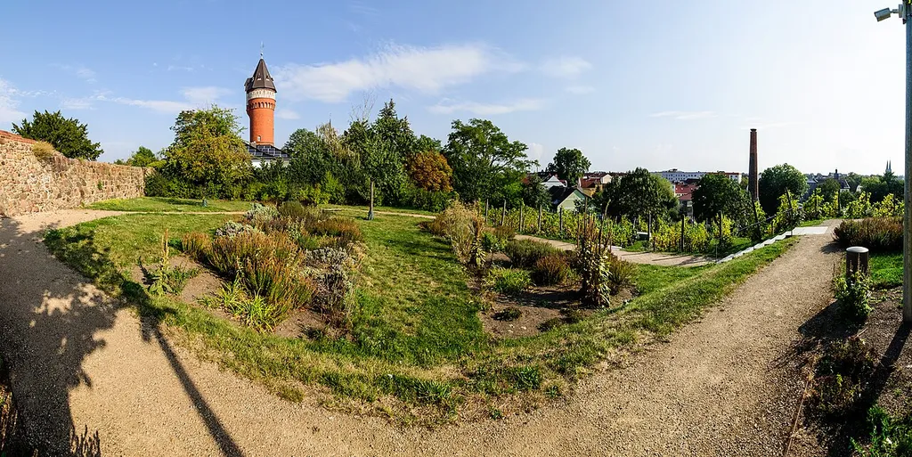 View from the vineyard (water tower and chimney)