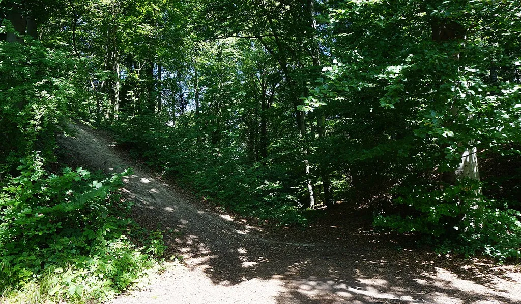 Blick in den Graben vor dem Hauptwall (links).