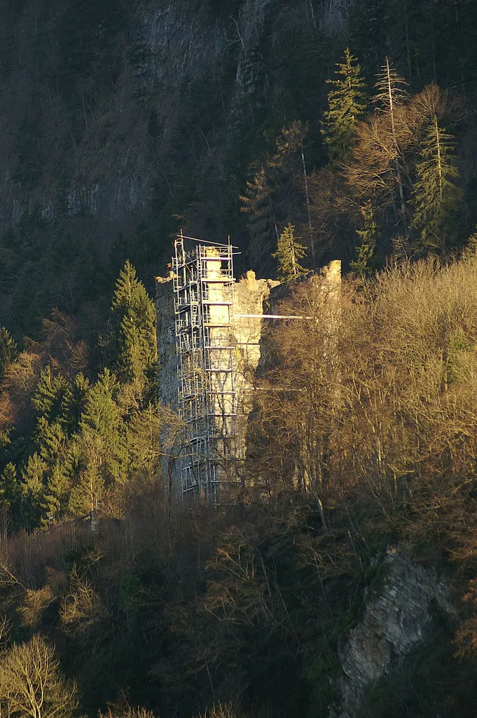 Burgruine Neu-Montfort