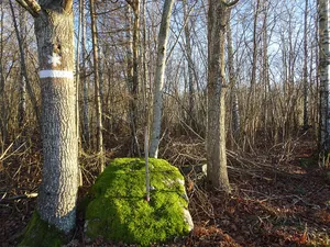 Strandhagen