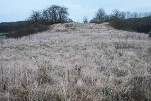 Turmhügel Altenburg (Sulzfeld)