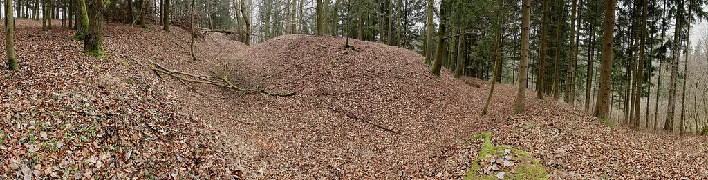 Burgstall Hohenkuchen - Ansicht des Burgstalles aus nordöstlicher Richtung