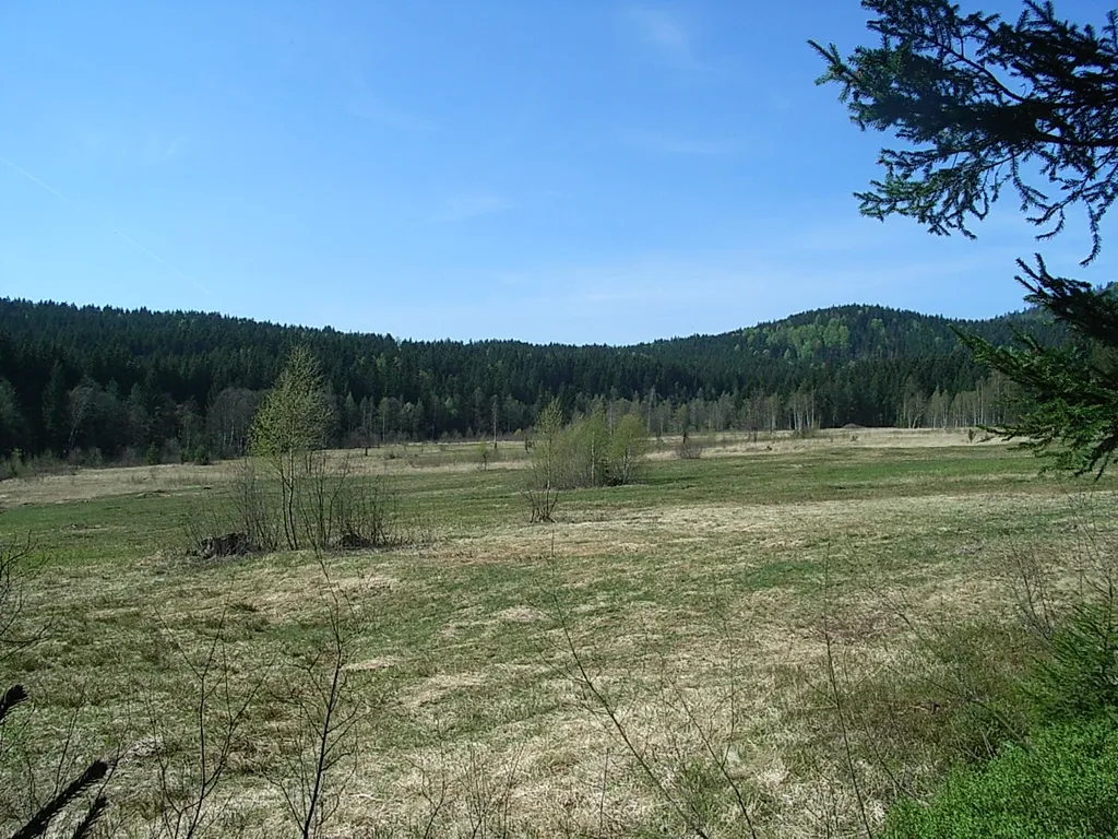 Stockau-Wiesen