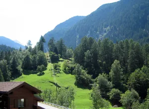 Bärenburg