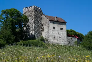 Habsburg Castle