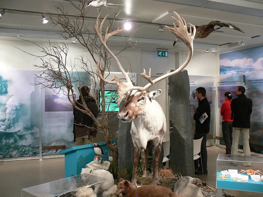 Höfn - Glacier Museum.