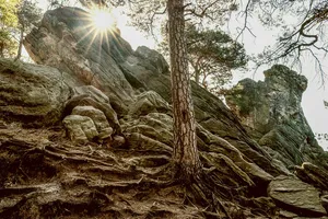 Sandsteinzug Teutoburger Wald