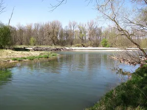 Isarauen zwischen Hangenham und Moosburg