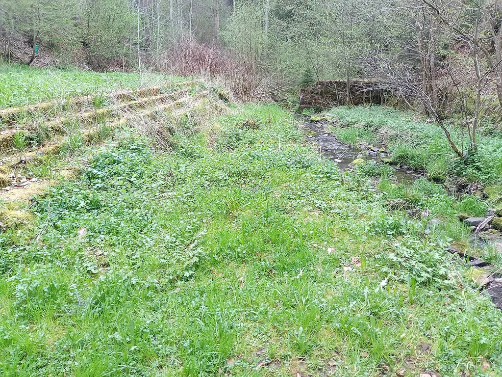 Reste des ehemaligen Höpfinger Freibads