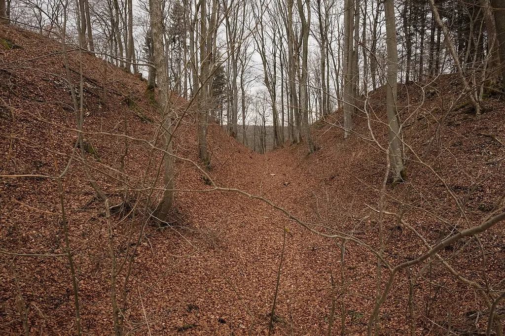 Alte Burg