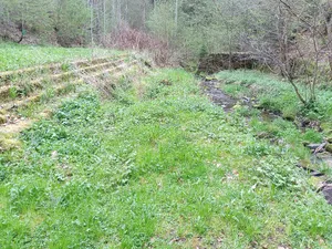 Freibad Höpfingen