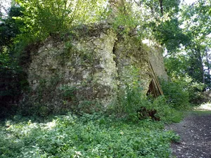 Burgruine Ettling