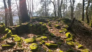 Fürstenstein castle