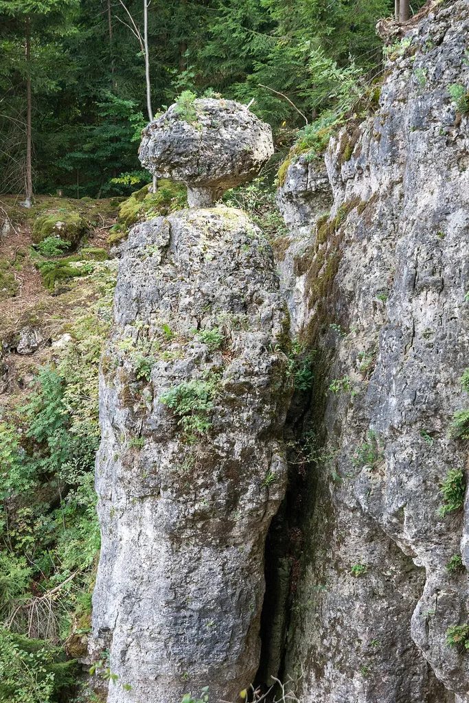 Felsturm, Schwammerl, St. Colomann, Velburg, Geotop