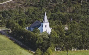 Vik Church