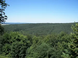 Burgwald