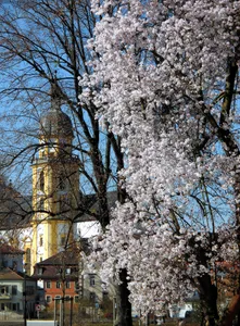 Pfarrkirche