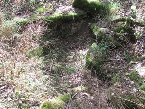 Burgstall Gattenhofen