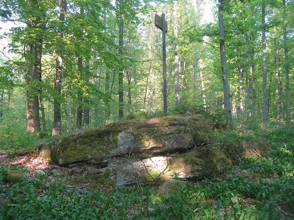 Slorburg Castle (remnants), Gemünden am Main / Germany