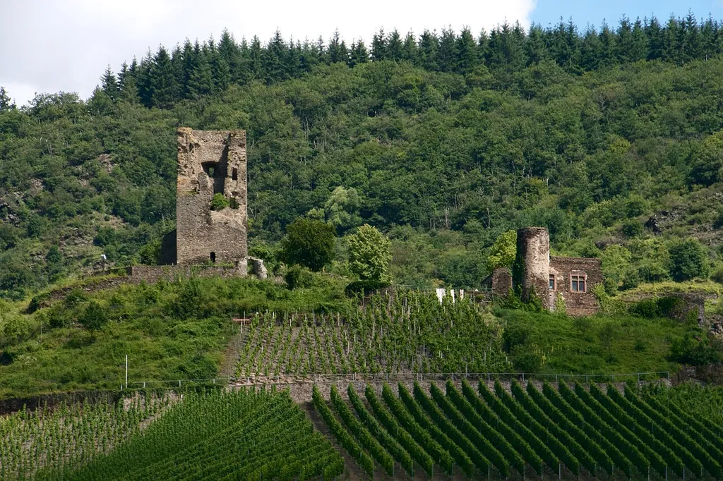 Castle ruin Coraidelstein in Klotten, Cochem-Zell in Rhineland-Palatinate in Germany.