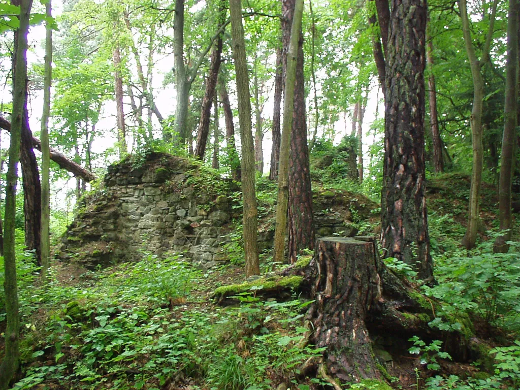 hrad Křikava, připomínaný v letech 1345 a 1367, zanikl pravděpodobně počátkem 15. století; vstup do hradu byl přes dochovaný šíjový příkop