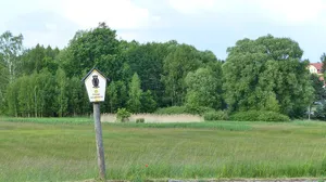 Wiesen an der Radeburger Straße