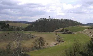 Burgstall Fronhofen