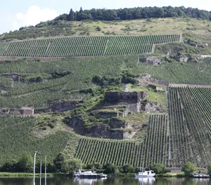 Burg Zeltingen