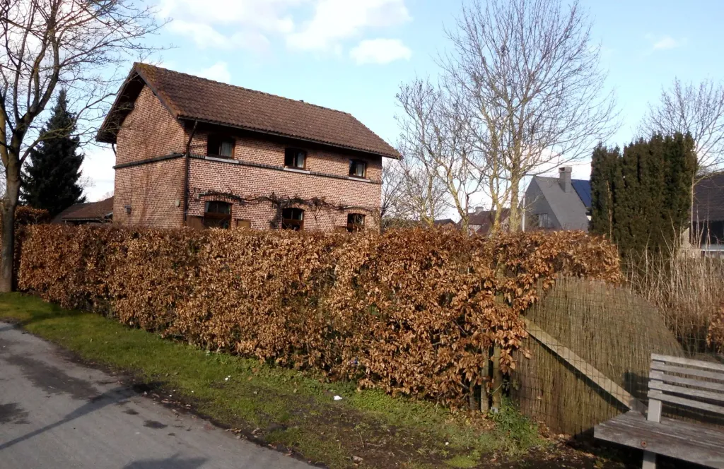 Station van Daknam - Reinaertdreef - Daknam - Lokeren - Oost-Vlaanderen - België