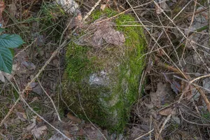 Grenzstein Untere Gemeinde in Fürth
