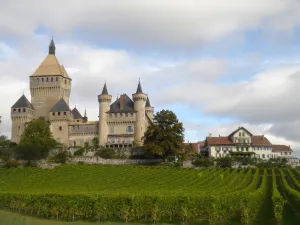 Vufflens-le-Château