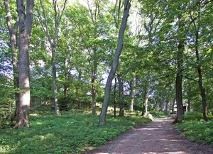 Burghain - Falkenstein