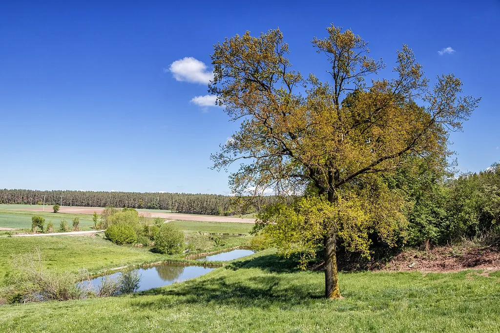 Schutz des Landschaftsraumes im Gebiet des Landkreises Roth - Südliches Mittelfränkisches Becken westlich der Schwäbischen Rezat und der Rednitz mit Spalter Hügelland, Abenberger Hügelgruppe und Heidenberg (LSG West)