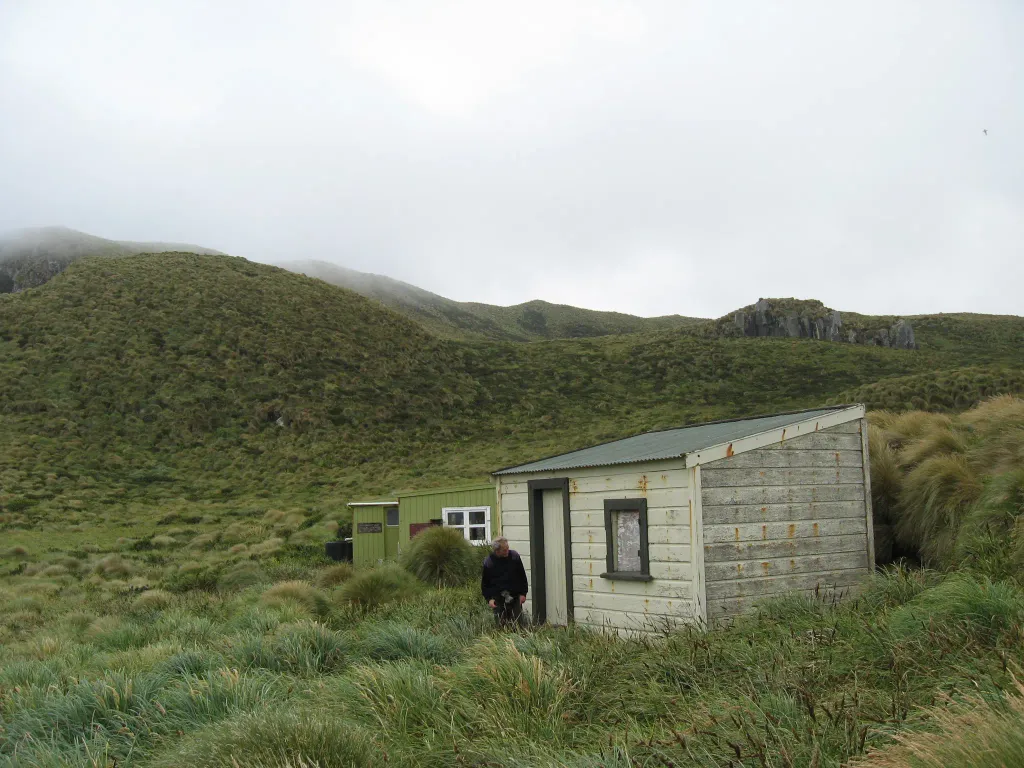 Antipodes Island