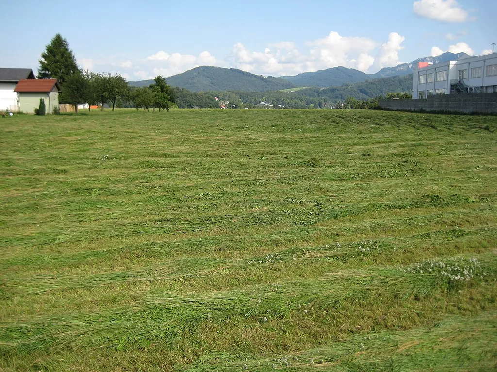 Hügelgräberfeld Ort-Gmunden