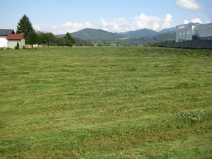 Hügelgräberfeld Ort-Gmunden