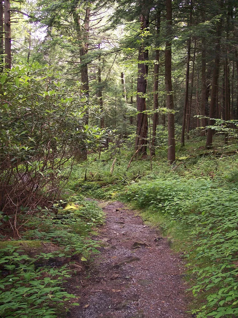 The Cathedral Trail in Cathedral State Park — near Aurora in Preston County, West Virginia.