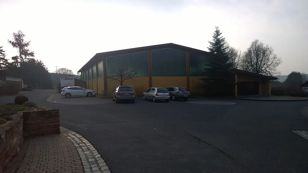 Lage des abgegangenen Burgstalls Diemarsburg im Ortsteil Adelsberg von Gemünden am Main