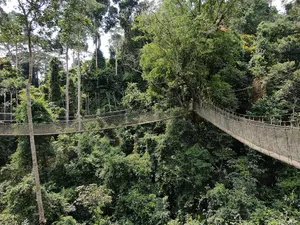 Akagera National Park