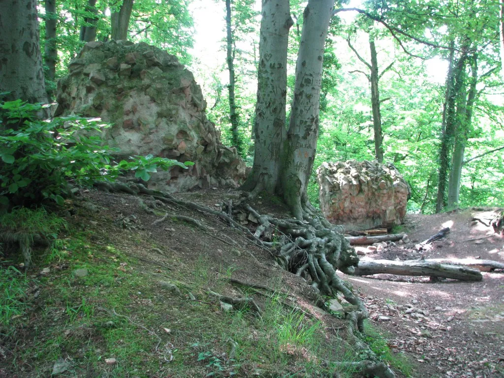 Hirschburg in Hirschberg-Leutershausen