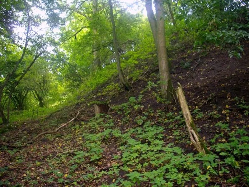 Burgwall Tückhude