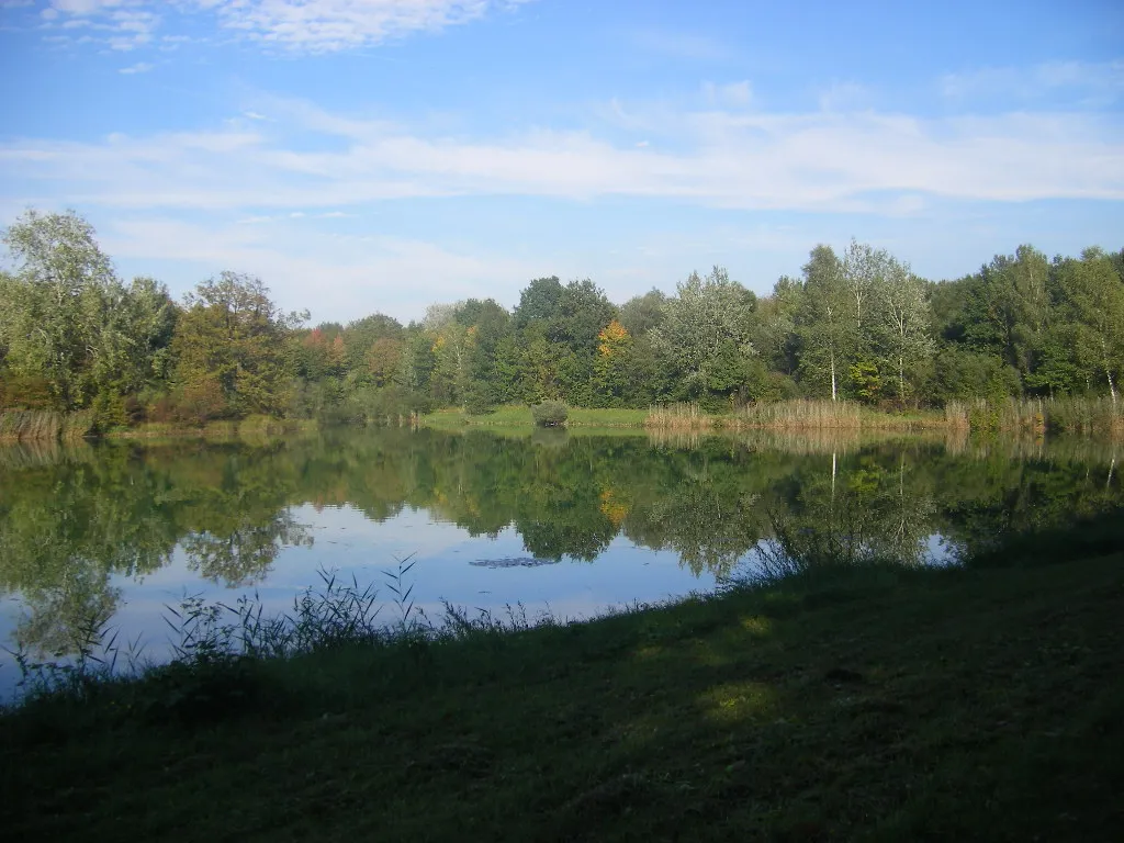 Donauauen zwischen Ingolstadt und Weltenburg